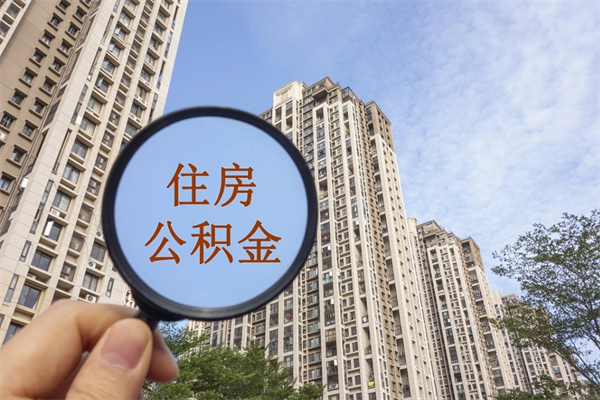 杞县离职多久可以取住房公积金(离职多久后能取公积金) 杞县离职多久可以取住房公积金(离职多久后能取公积金)